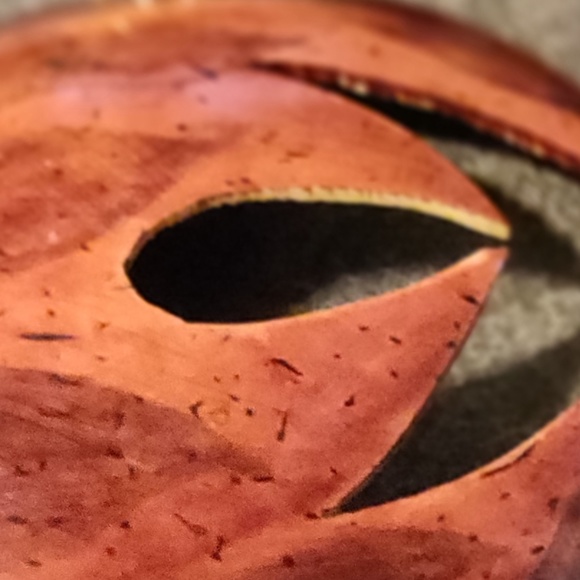 Coconut Shell Earrings - Picture 4 of 5